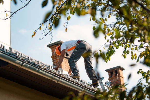 Best Slate Roofing Contractor  in La Villa, TX