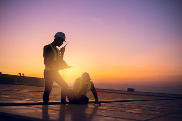 Best Flat Roof Repair Services  in La Villa, TX