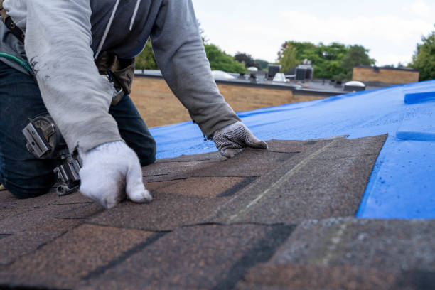 Best Roof Gutter Cleaning  in La Villa, TX