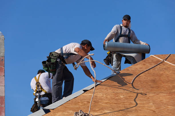 Best Local Roofing Companies  in La Villa, TX