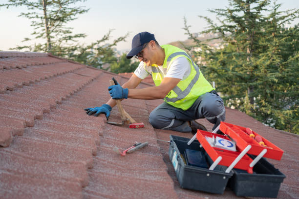 Best Slate Roofing Contractor  in La Villa, TX
