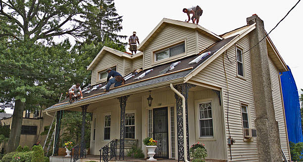 Best Roof Repair Services  in La Villa, TX