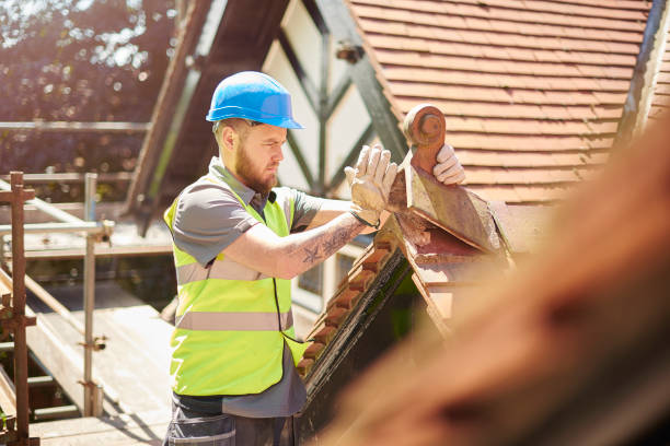 Best Roof Inspection Near Me  in La Villa, TX