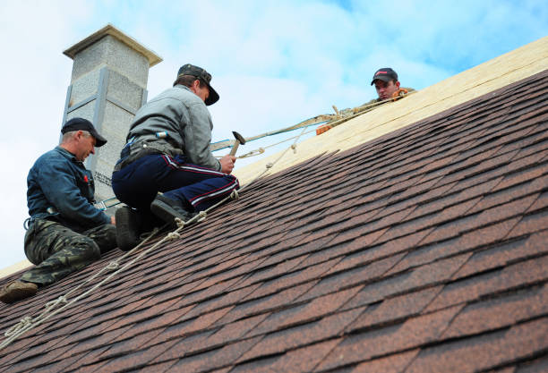 Best Residential Roofing Contractor  in La Villa, TX