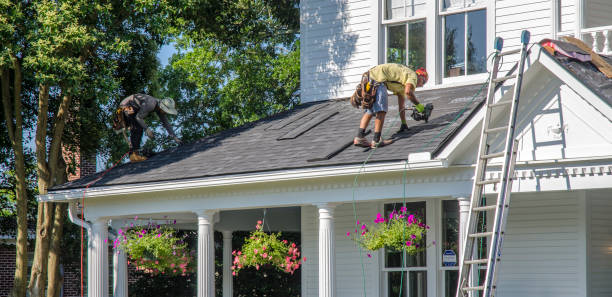 Best Gutter Installation and Roofing  in La Villa, TX