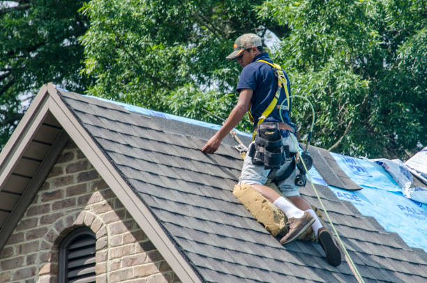 Best Roof Leak Repair  in La Villa, TX